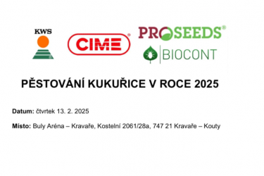 Pěstování kukuřice 2025 - Kravaře - Kouty